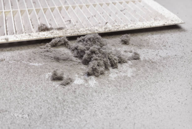 Best Affordable Air Duct Cleaning  in Mechanicsburg, OH