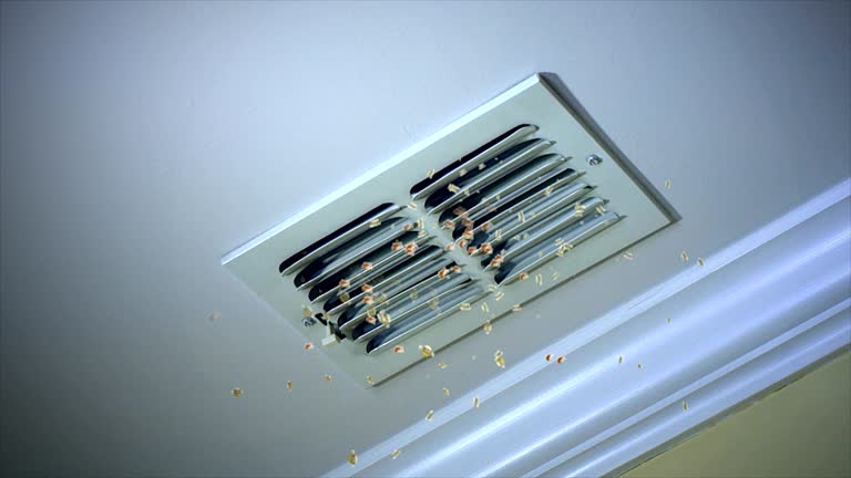 Best Professional Duct Cleaning Services  in Mechanicsburg, OH