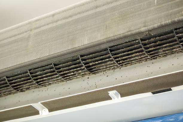 Best Dryer Vent Cleaning Services  in Mechanicsburg, OH